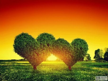 Деревья в виде сердец на закате