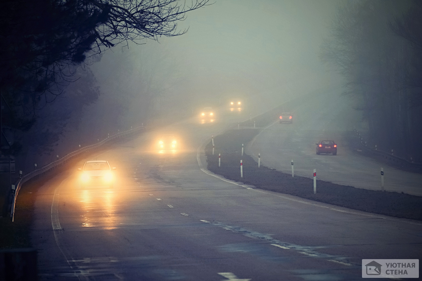 Дорога с машинами в тумане