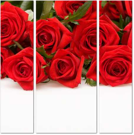 Красные розы на белом столе