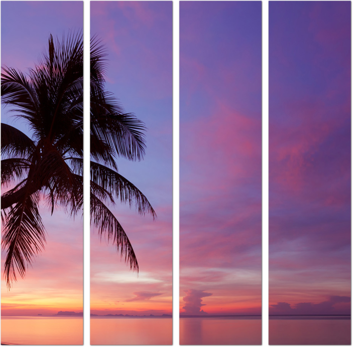 Панорама тропического заката с силуэтом пальмы на пляже