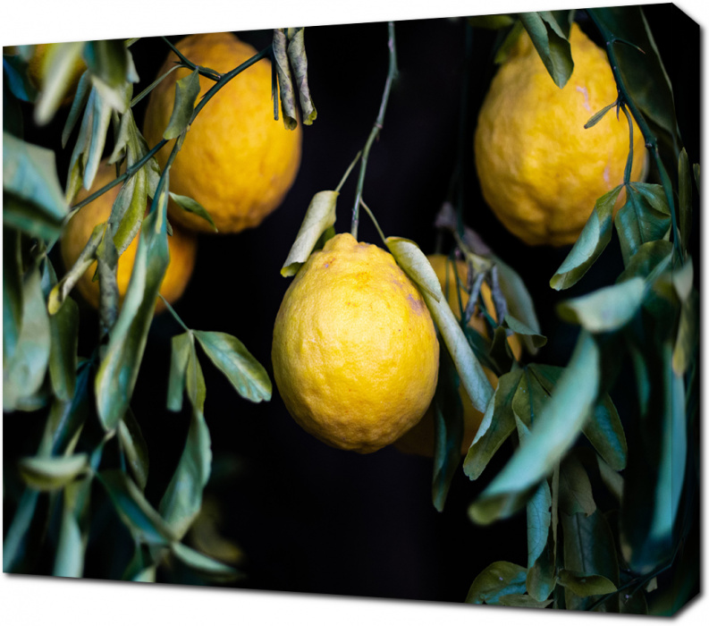 Фактурные лимоны