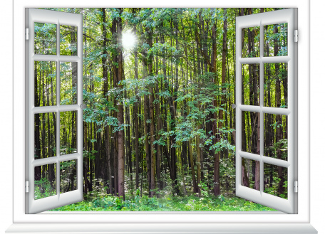 Окно в душистый лес