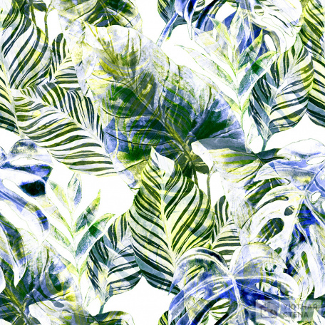 Текстурные листья пальм