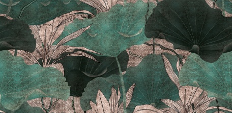 Прохладные тени листьев лотоса