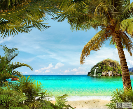 Пляж в пальмах с видом на остров