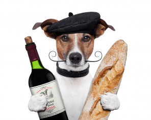 Джек-рассел-терьер в кепке с вином и хлебом