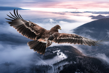 Орел в полете над горами