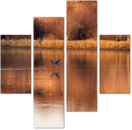 Птичка над озером