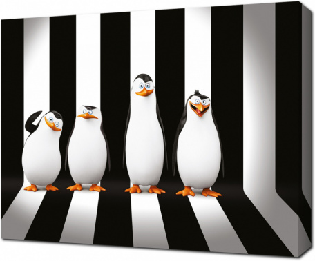 Черно-белые пингвины из Мадагаскара