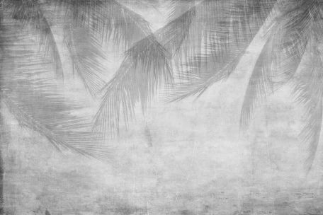 Тени пальмовых листьев