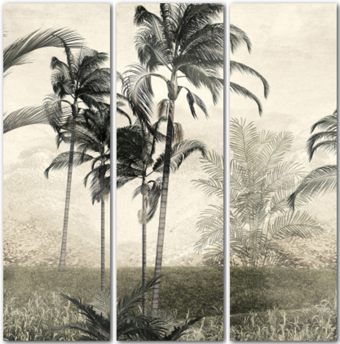 Панорама с тропическими пальмами