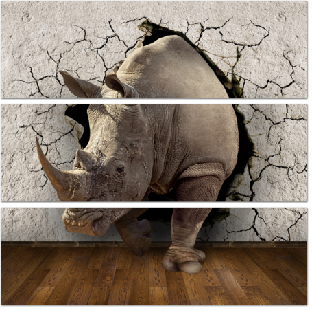 3D носорог и стена