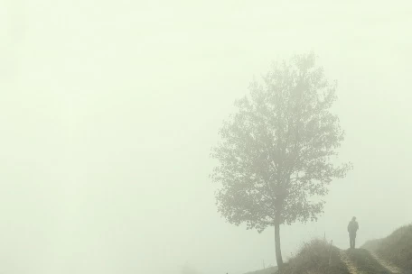 Густой туман