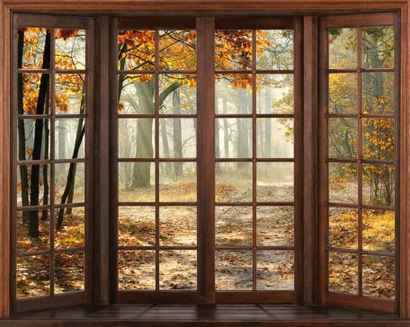 Окно с видом на осенний парк