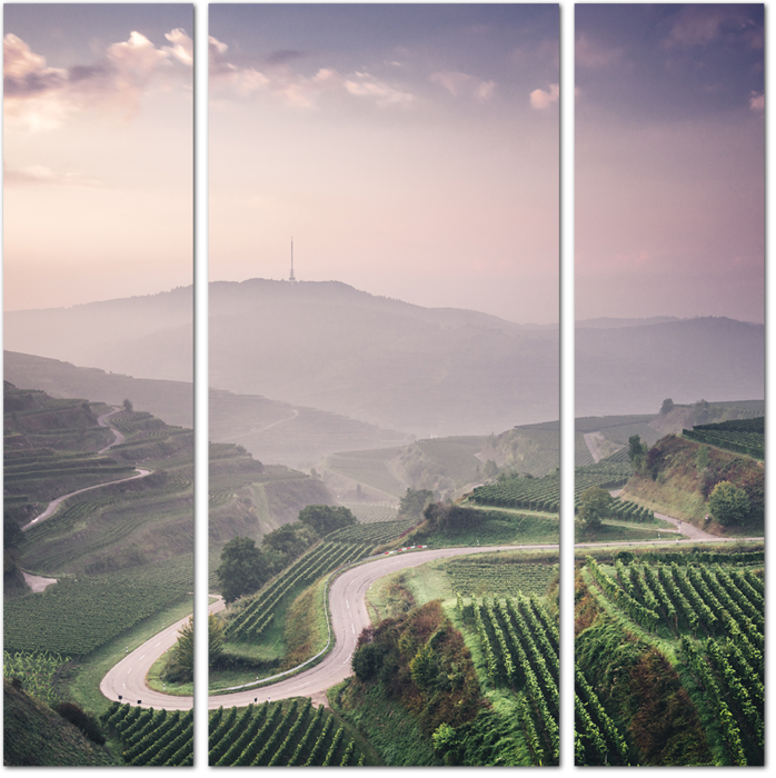 Потрясающий вид на холмы и виноградники в Германии