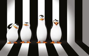 Черно-белые пингвины из Мадагаскара