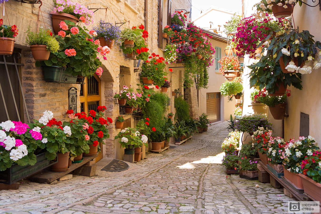 Аллея с цветами на итальянской улочке