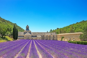 Аббатство Сенанк и цветущая лаванда, Франция