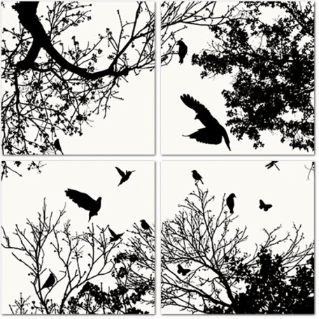 Птицы на макушках деревьев