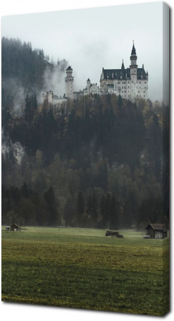 Вид на замок Нойшванштайн в тумане