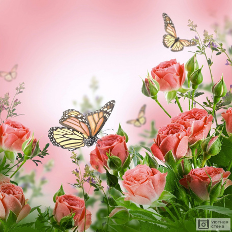 Бабочки на розах на розовом фоне