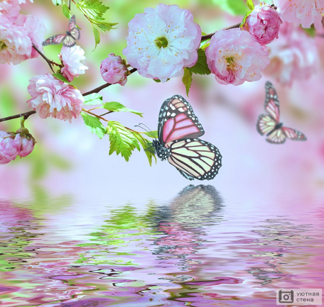 Бабочки на цветках дерева