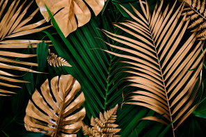 Золотистые и зеленые пальмовые и тропические листья