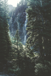 Скалистый водопад в лесу 