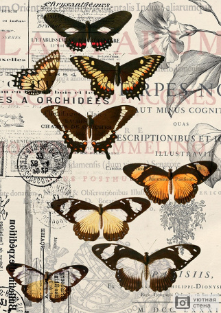 Винтажная картинка с бабочками