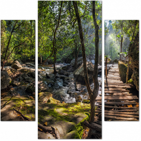 Тропический лес с деревянным мостом