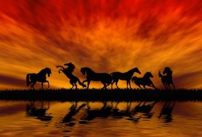 Лошади на красном закате