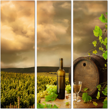 Виноградники и бочка с вином