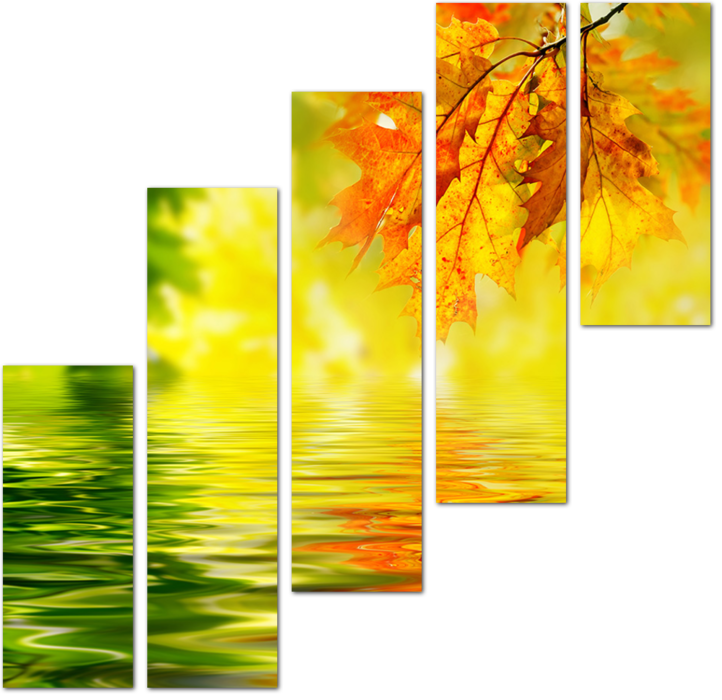 Ветка с осенними листьями над водой
