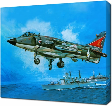 Самолет Sea Harrier FRS.1