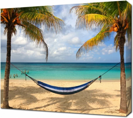 Пальмы с гамаком на форе моря