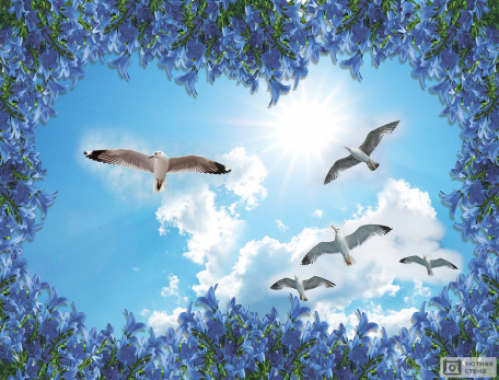 3D Чайки в небе