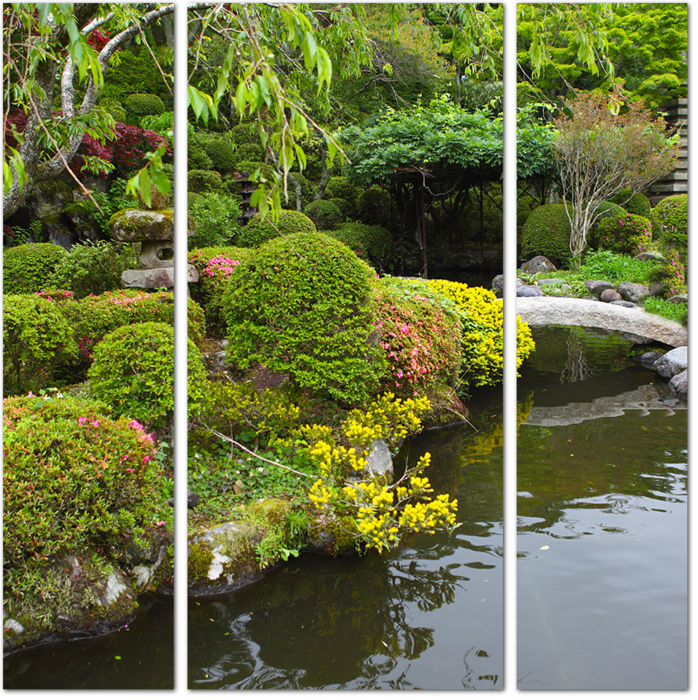 Изящный японский сад