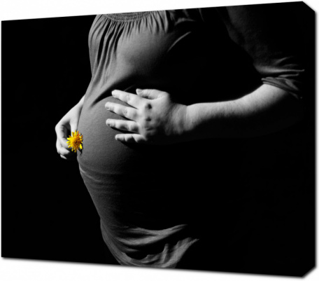 Черно-белое фото беременной с желтым цветком