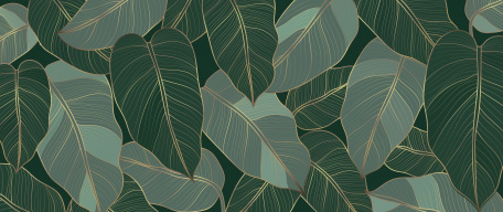 Листья зеленых растений