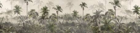 Тропический лес в тумане