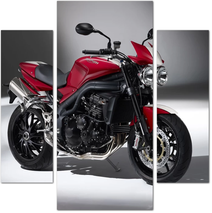 Спортбайк Triumph Speed Triple S.E.