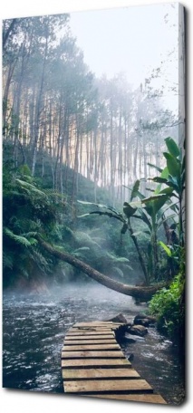 Медитация в дождливом тропическом лесу