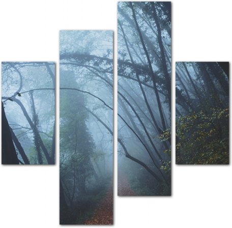Осенняя тропа в тумане
