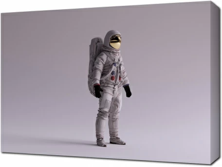 Космонавт в нейтральной зоне