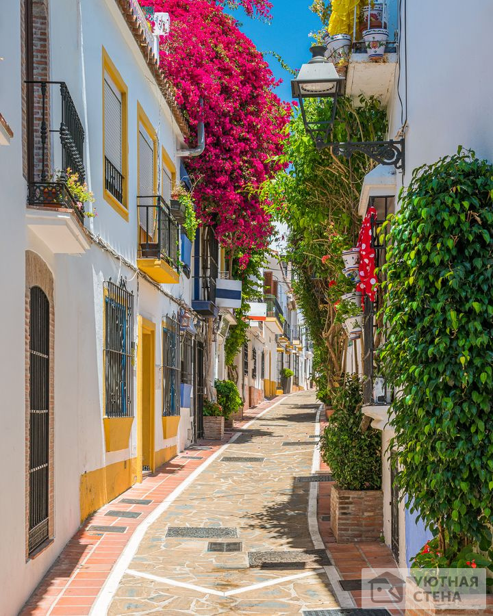 Цветущая улица в Испании