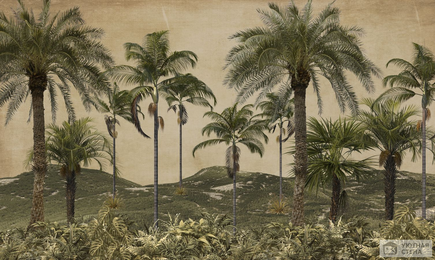 Выразительный пейзаж с пальмами