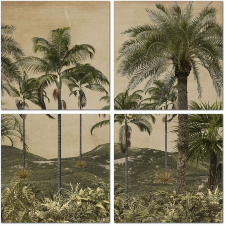 Выразительный пейзаж с пальмами