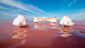 Розовое соленое озеро в Крыму