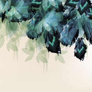 Абстрактный цветочный фон с перьями