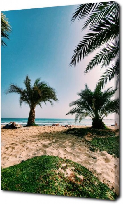 Кромка пляжа с пальмами